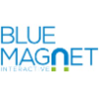 Blue Magnet Interactive