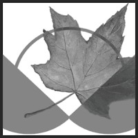 Canadian Centre for Policy Alternatives