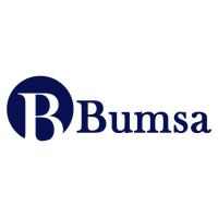 Bumsa Inc.