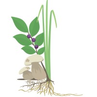 Keefer Ecological Services Ltd.