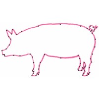 Trufflepig Travel Inc.