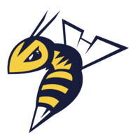 Edmonton Stingers