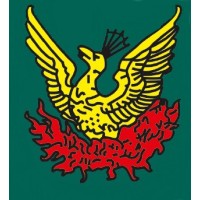 Phoenix Transport