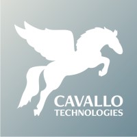 Cavallo Technologies Inc.
