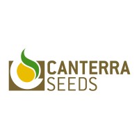CANTERRA SEEDS