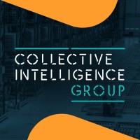 Collective Intelligence Group