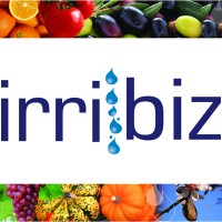Irribiz