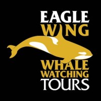 Eagle Wing Whale & Wildlife Tours