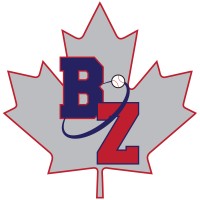 The Baseball Zone
