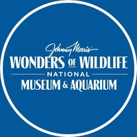 Johnny Morris'​ Wonders of Wildlife National Museum & Aquarium
