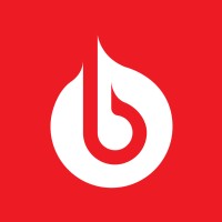 Bolster Systems Limited