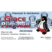 Glace Pingouin Inc.