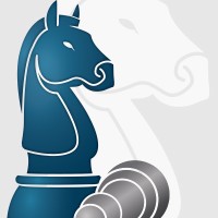 Majority Strategies