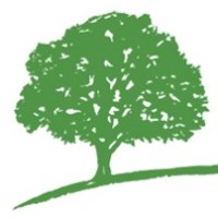 Ranmore Fund Management Ltd