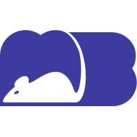 Mousebuilt Websites
