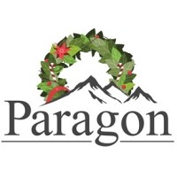 Paragon Energy Solutions