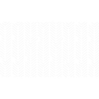 Packers Sanitation Services, Inc. (PSSI)