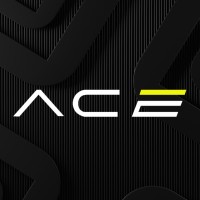 ACE - All Canadian Enterprises