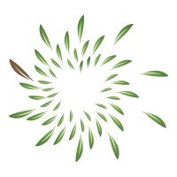 Melaleuca Australia