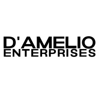 D'Amelio Enterprises