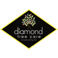Diamond Tree Care & Consulting Inc.