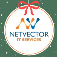 NetVector IT Services