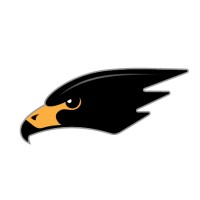 Blackhawk Aerospace