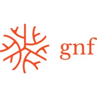Global Nerve Foundation
