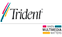 Trident Microsystems