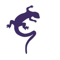 Geckoella Ltd