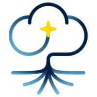 Silver Tree Consulting & Services