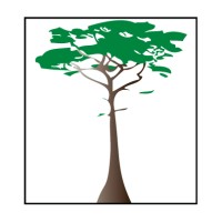 Cypress Property & Casualty Insurance Company