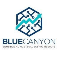 Blue Canyon CPA and Accounting Solutions
