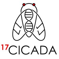 17Cicada