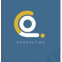 CJO Consulting Inc