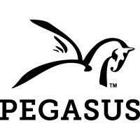 We Are Pegasus