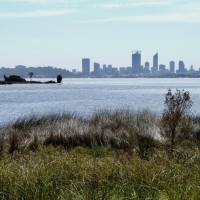 Swan Estuary Reserves Action Group