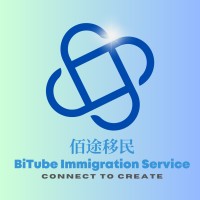 BiTube Immigration Service