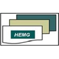 H.E. Management Group Inc.  ( HEMG  )