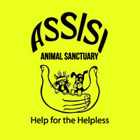 Assisi Animal Sanctuary