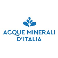 Acque Minerali d'Italia S.p.A