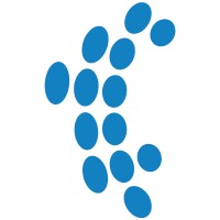 Cased Hole Well Services