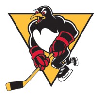 Wilkes-Barre/Scranton Penguins