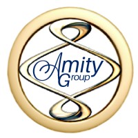 The Amity Group, Inc