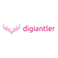 DigiAntler Web Design