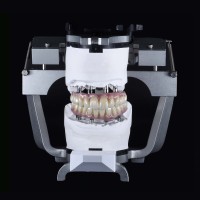 Vision Dental Lab