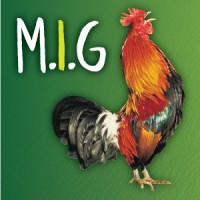 Making I.T. Green