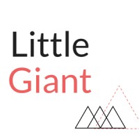 Little Giant Marketing