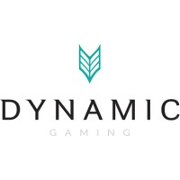 Dynamic Gaming Solutions, LLC