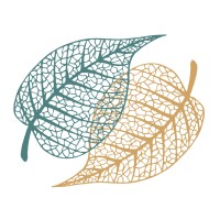 Insight Meditation Society